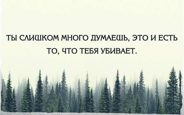 , ,  - 7  2016  14:33