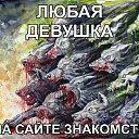 ���� ������, ������, 51 ��� - ��������� 10 ��� 2016 � ������ ���� ����������