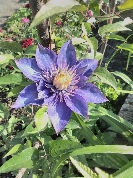  - 3  2016  09:08 - 3