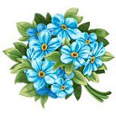 ���� ���������, ������, 43 ���� - ��������� 27 ���� 2016 � ������ ���� ������Ȼ