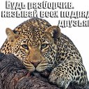 ���� Alla, ��������, 44 ���� - ��������� 13 ����� 2016 � ������ ���� ����������