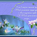 ���� ������, ������ - ��������� 15 ���� 2016 � ������ ������ ��������