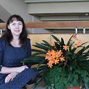 ���� ���������, ����, 48 ��� - ��������� 5 �������� 2016