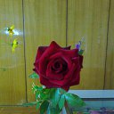 ���� Nina, �������, 66 ��� - ��������� 13 ���� 2016 � ������ ������ - ��� �������!�