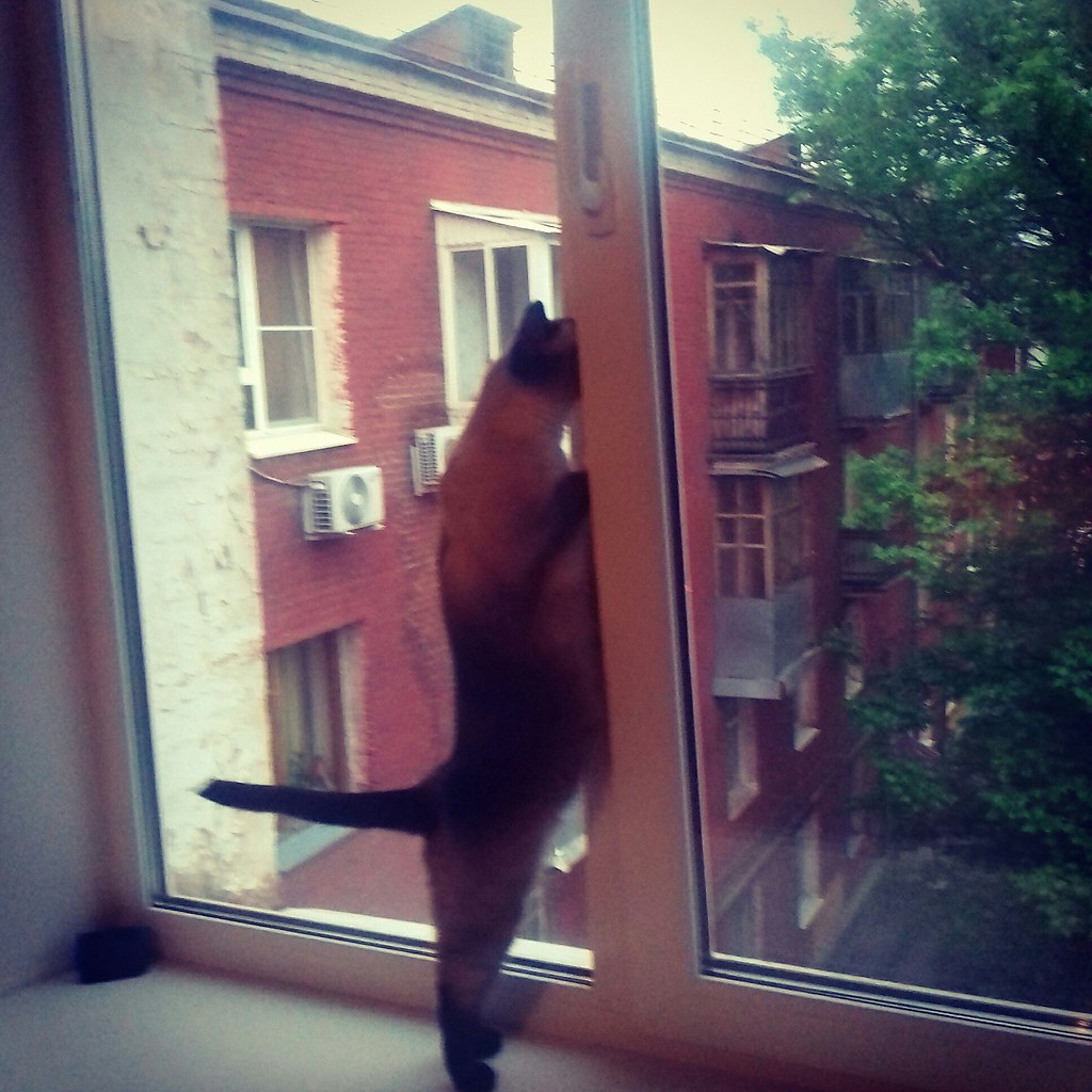 Запахло летом!