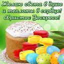 ���� ������, ��������, 51 ��� - ��������� 1 ��� 2016 � ������ ������ ��������