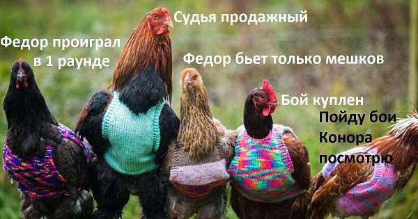 ��������)