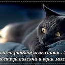 ���� Milaya, ������������ - ��������� 28 ����� 2016 � ������ ������ ��������
