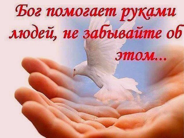 ���� - 14 ��� 2016 � 18:16