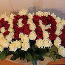 ���� �������, ����, 69 ��� - ��������� 4 ��� 2016 � ������ ������ ��������