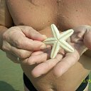 ���� ������, �����������, 69 ��� - ��������� 2 ��� 2016 � ������ ������.���