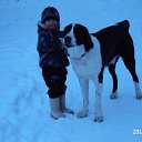 ���� ������, �������, 69 ��� - ��������� 19 ����� 2016 � ������ ���� ����������