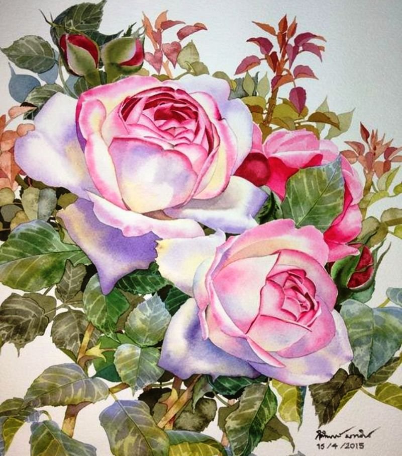 ����� �������� ��������� �� �������� KITIPONG TI . � ��� ���� ����� ���� �����. ��� � ���� ������ ...