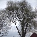 ���� ���������, ���������, 34 ���� - ��������� 29 ������ 2016 � ������ ������ ��������