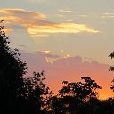 ���� ������, ���, 62 ���� - ��������� 4 ���� 2016 � ������ ��������� ��������