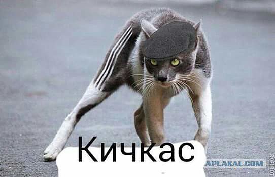 ���� - 28 ������� 2016 � 16:14
