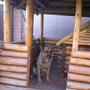 ���� �������, ������, 68 ��� - ��������� 27 ����� 2016 � ������ ���� ���� ������