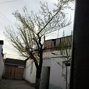 ���� �������, ��������, 75 ��� - ��������� 25 ����� 2016 � ������ ������ ��������