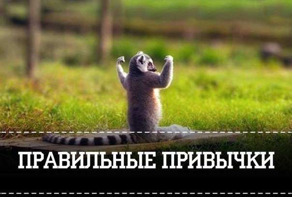 Что делать чтобы все изменить.Я часто вижу людей, жизнь которых пронизана страданием и полна ...