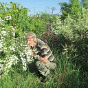 ������ ����������� �� ������� ���� ����������