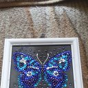 ���� �������, �����-��������� - ��������� 25 ������� 2016 � ������ ���� ������