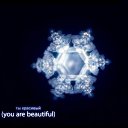 ������� ����� � ������� ���� ������� �� ������� ���� ����������