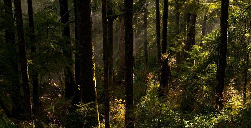  .#nature@travel.blog - 6