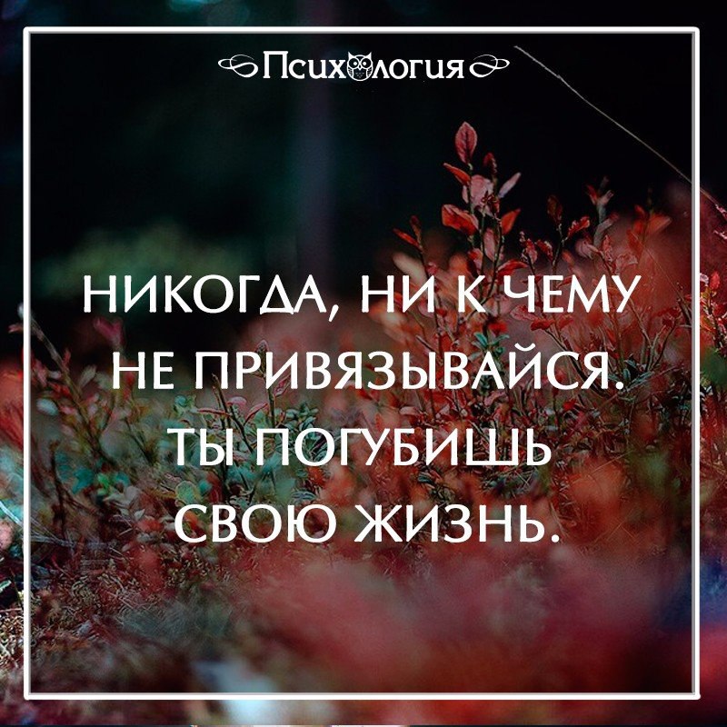  - 13  2016  20:03