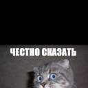 ���� ������, ��������, 38 ��� - ��������� 30 ��� 2016 � ������ ���� ����������