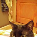 ���� �������, ������, 47 ��� - ��������� 28 ���� 2016