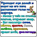 ���� ����, ����� - ��������� 8 ������� 2016 � ������ ����������