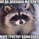 ���� �����, �����, 66 ��� - ��������� 24 ����� 2016 � ������ ���������