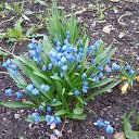 ���� �������, ������� �����, 50 ��� - ��������� 13 ��� 2016 � ������ ���� ������