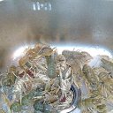 ���� �������, ������, 36 ��� - ��������� 16 ��� 2016 � ������ �Odessa + Vena�