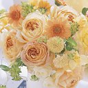 ���� �����, ������ - ��������� 13 ������� 2016 � ������ ���� ����������