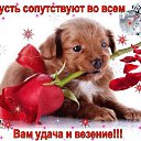 ���� �������, �������, 72 ���� - ��������� 22 ����� 2016