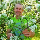 ���� ������ ����������, ����������, 59 ��� - ��������� 20 ������ 2016 � ������ ���� ����������