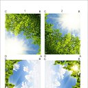 ���� �������, ����������, 41 ��� - ��������� 30 ����� 2016 � ������ ���� ����������