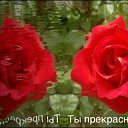 ���� Samir, ����, 50 ��� - ��������� 17 ���� 2016 � ������ ���� ����������