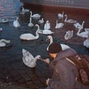 ���� Nickolas, ��������, 44 ���� - ��������� 29 ����� 2016