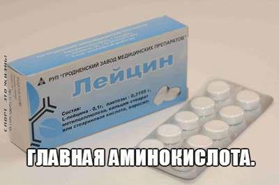 ЛЕЙЦИН. ГЛАВНАЯ АМИНОКИСЛОТА. Аминокислоты служат основой для производства белка - это известно уже ...