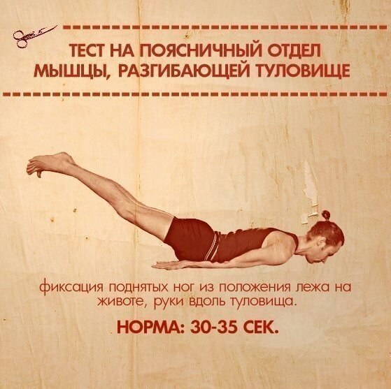 10 упражнений, которые покажут ваши слабые места. Тело нетренированного человека очень ... - 6
