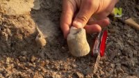    .(Mass Extinction: Life on the Brink)       ... - 3