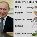 ���� �������, �����, 43 ���� - ��������� 25 ������ 2016 � ������ ������ ��������
