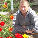 ���� ������, ���, 46 ��� - ��������� 13 ���� 2016 � ������ ���� ����������