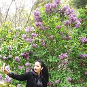 ���� Nazli, ������� - ��������� 28 ������ 2016 � ������ ���� ����������