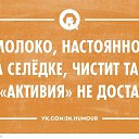 ���� ����, ���� - ��������� 17 ������� 2016 � ������ ������ ��������