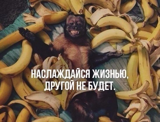    |   - 16  2016  06:06