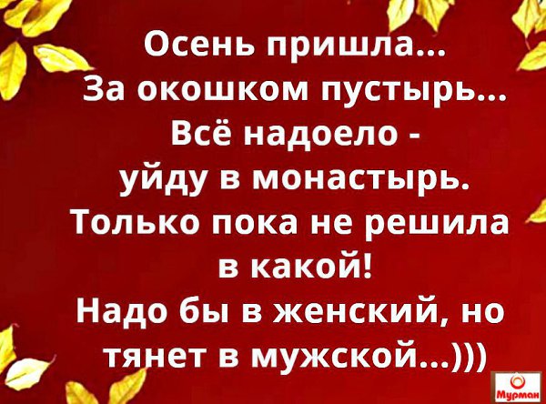   - 21  2016  15:02