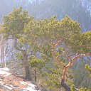 ���� �������, ������, 47 ��� - ��������� 4 ������� 2016 � ������ ���������